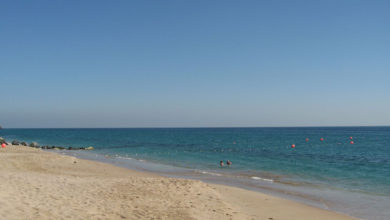 Photo of Artificial reefs sunk off Fujairah coast to revive threatened marine habitats