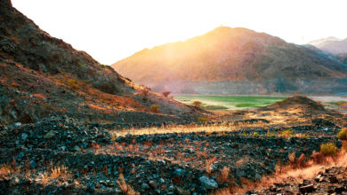 Photo of UAE natural habitats: The mountains