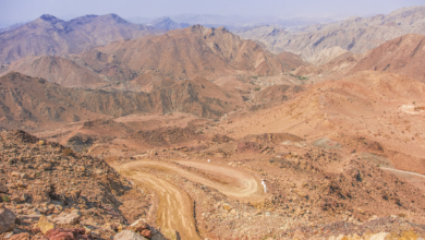 Photo of Scenic Fujairah Road Trip