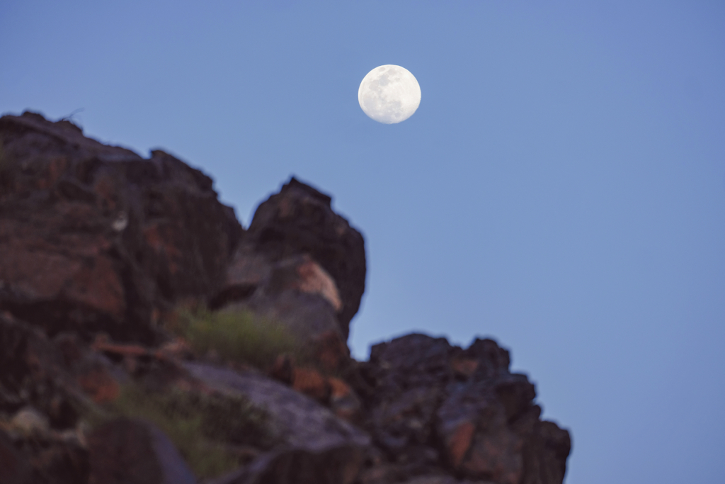 Strawberry Moon in the UAE