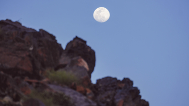 Photo of June: Strawberry Moon in the UAE