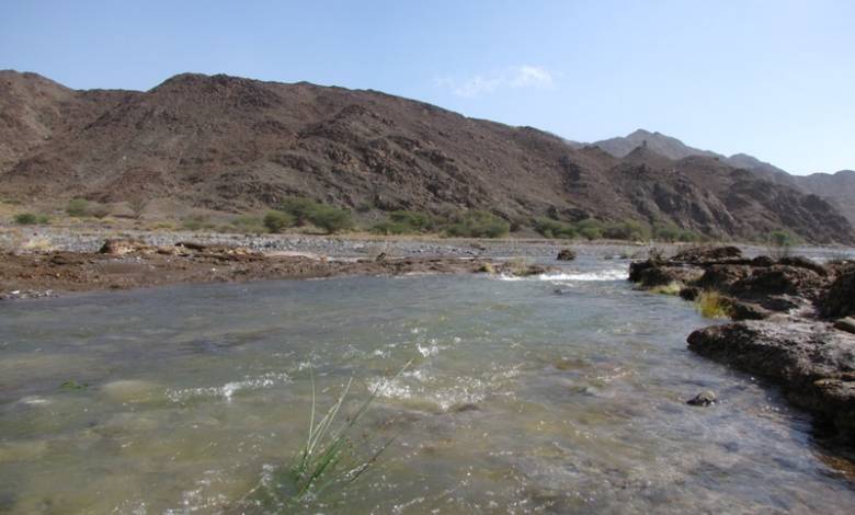 Built in the seventies, Wadi Siji, has the oldest dam in the UAE. The dam is 10m high, 500m wide and can store up to 1,200,000 cubic metres of water. Situated 49km north of Fujariah, in a picturesque mountainous area, dotted with farms. ​