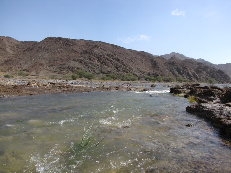 Built in the seventies, Wadi Siji, has the oldest dam in the UAE. The dam is 10m high, 500m wide and can store up to 1,200,000 cubic metres of water. Situated 49km north of Fujariah, in a picturesque mountainous area, dotted with farms. ​