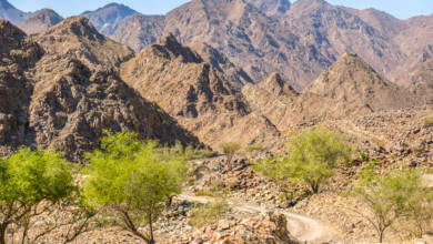 Photo of What do you know about the Hajar Mountains?