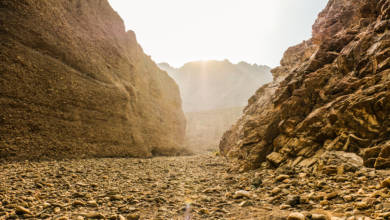 Photo of UAE Natural Landmarks: Wadi Wurayah