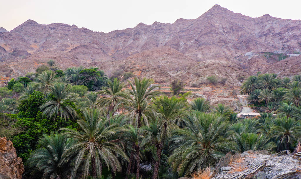 Al Tayibah walking trail