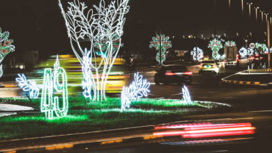 Photo of National Day Celebration, 2 December 2020