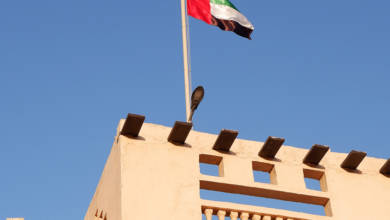 Photo of November 3, UAE Flag Day