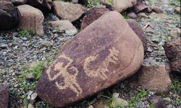 Photo of Exploring Fujairah and the Emirates from A to Z: Rock Art