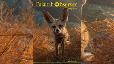 Photo of 𝐌𝐚𝐲 𝟐𝟎𝟐𝟏 Fujairah Observer 𝐃𝐢𝐠𝐢𝐭𝐚𝐥 𝐌𝐚𝐠𝐚𝐳𝐢𝐧𝐞 𝐈𝐬𝐬𝐮𝐞