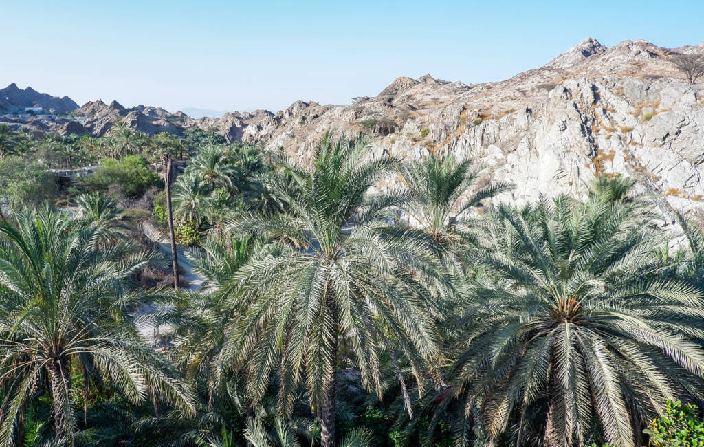 Al Qala Lodge in the Hajar Mountains is a good option for anyone seeking a taste of traditional Emirati life. Featuring panoramic views across the mountains, this stone farmhouse can be exclusively yours for the night.