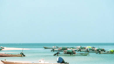 Photo of UAE cultural learning: The Sea