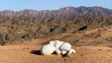 Photo of Crown Prince of Fujairah visits “Look Here” sculpture placed at the Al Haniyah desert