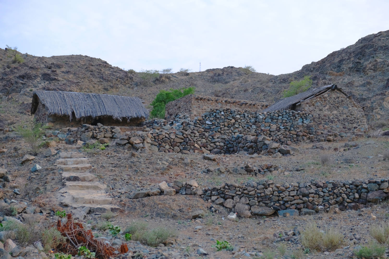 Al Hayl Fortress