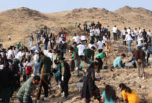 Photo of Emirates Environmental Group plants 15,881 trees in 2024