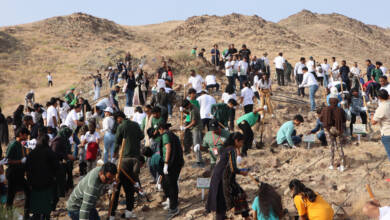 Photo of Emirates Environmental Group plants 15,881 trees in 2024